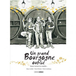 Un grand Bourgogne oublié - Tome 2