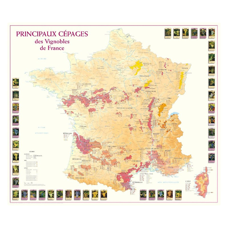 Carte des principaux cépages des vignobles de France